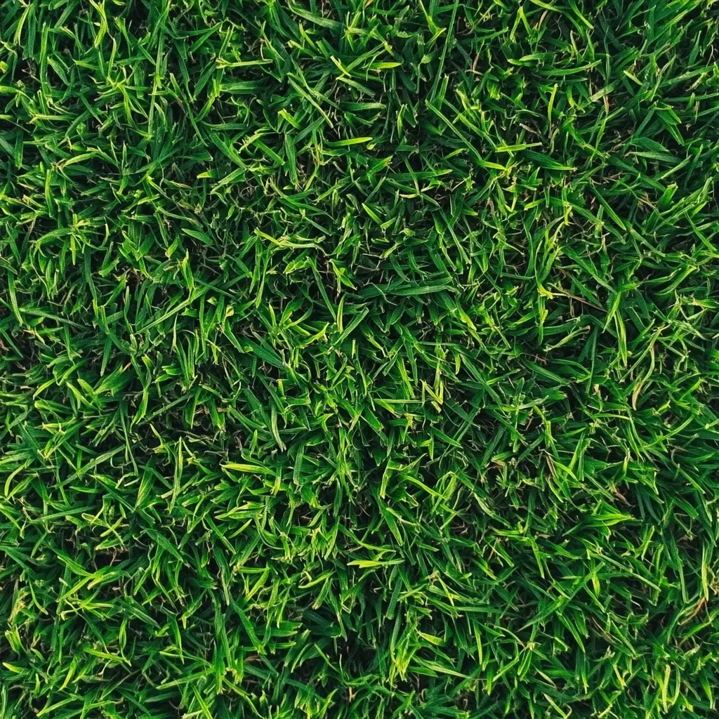 aeration services near me