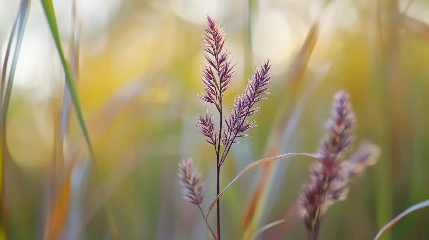 purple nutsedge cyperus weed removal near me